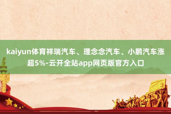kaiyun体育祥瑞汽车、理念念汽车、小鹏汽车涨超5%-云开全站app网页版官方入口